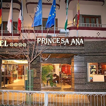 ホテル プリンセサ アナ グラナダ