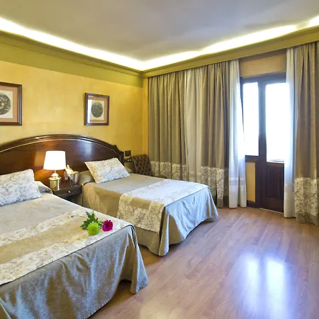 Hotel Princesa Ana 4*